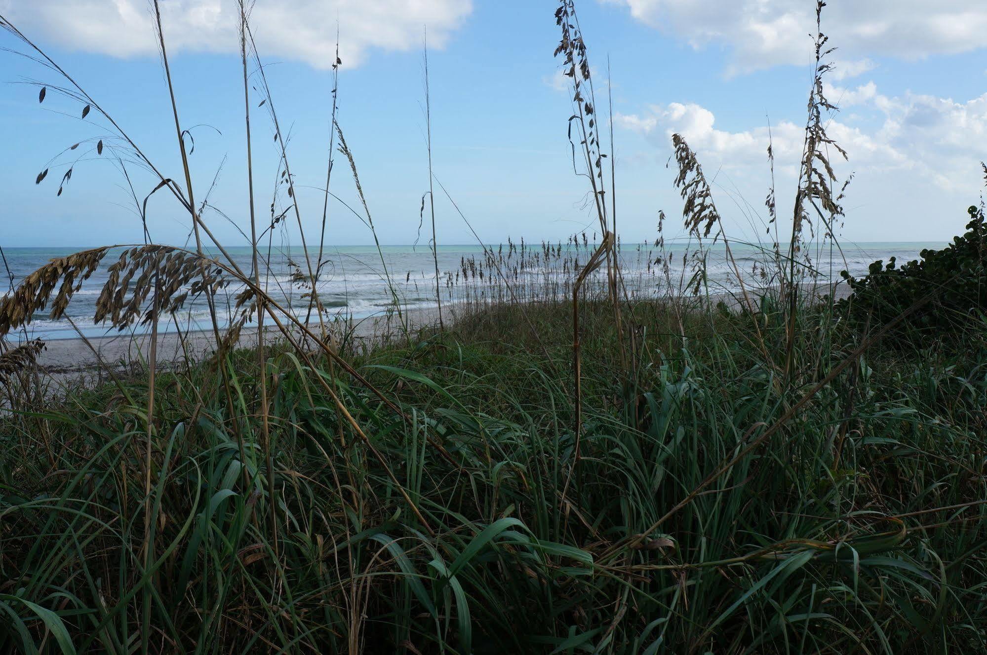 Ocean Front Paradise Resort Melbourne Luaran gambar